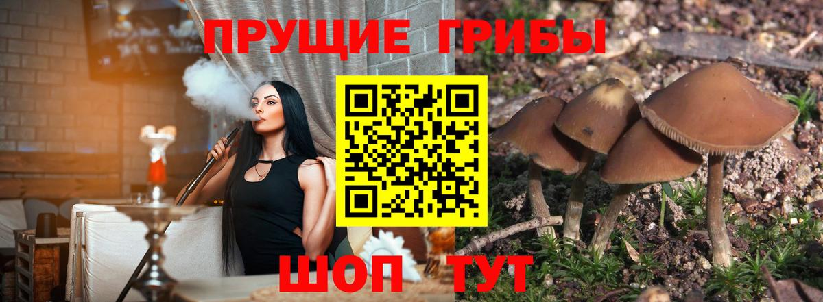 Галлюциногенные грибы мухоморы  Вход с VPN  Новокуйбышевск 