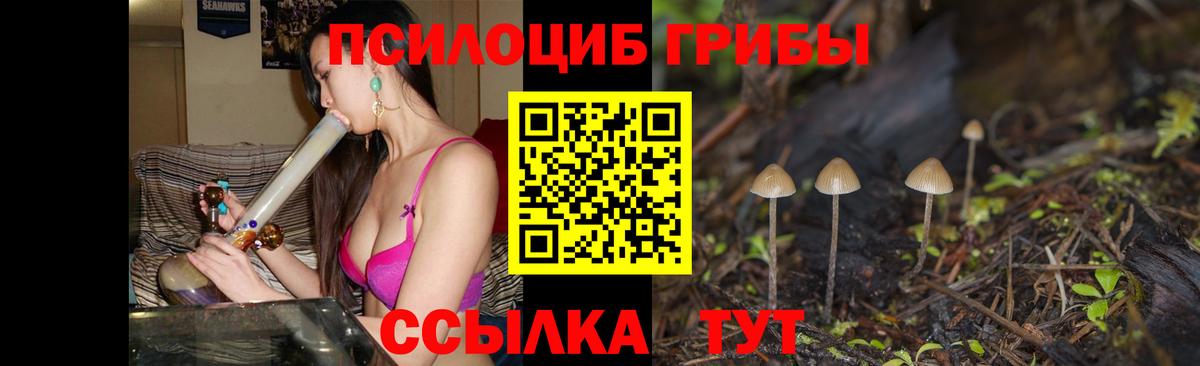 Галлюциногенные грибы MAGIC MUSHROOMS Новокуйбышевск